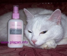 Сливки Plazan серии Интенсив