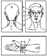 Массаж актуальных биологически активных точек